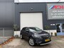 Opel Grandland X 1.2 Turbo Business Executive 360 CAMERA/STUUR-STOELVVERW/LED/TREKHAAK