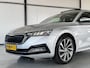 Skoda Octavia Combi 1.0 TSI 81kW Business Edition|Panoramadak|elektr.Trekhaak|