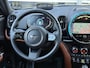 MINI Countryman 2.0 Cooper SE ALL4 Leder/Pano/Camera/Apple