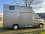 Mercedes-Benz Sprinter 308 CDI 2.2 355 Automaat Paardenwagen