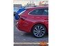 Skoda Octavia Combi 1.0 TSI Business Edition Plus, trekh., ACC, LED kopl., stoel- + stuurverw.