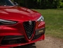 Alfa Romeo Stelvio 2.9 V6 AWD Quadrifoglio | Harman/Kardon | Rosso Competizione | Adapt. cruise | CarPlay | Carbon stuur