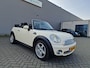 MINI Cooper Mini Cabrio 1.6 Chili PSENSOR LEDER CRUISE 2 X SLEUTELS
