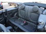 MINI Cooper S Mini Cabrio 2.0 Classic |Stuurwielverwarming