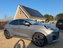 Ford Puma 1.0 Hybrid ST-Line X Navigatie & Camera & Winterpakket
