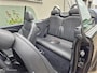 MINI Cooper Cabrio R52 1.6 Chili Leer/17 inch