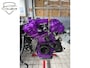 Nissan GT-R 3.8 V6 1400PK | ARMYTRIX | AP RACING | CARBON