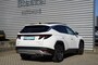 Hyundai Tucson 1.6 T-GDI 265PK PHEV 4WD Premium Sky Pano Leder Led Clima