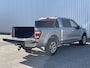 Ford F-150 FORD Platinum 4x4 Crew Cab