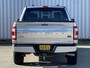 Ford F-150 FORD Platinum 4x4 Crew Cab