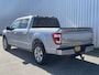 Ford F-150 FORD Platinum 4x4 Crew Cab