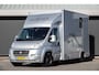 Fiat Ducato Horsetruck | 3.0 MultiJet 177Pk | 2-Paards | Trekhaak | Achteruitrijcamera | Luchtvering | 16''