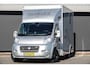 Fiat Ducato Horsetruck | 3.0 MultiJet 177Pk | 2-Paards | Trekhaak | Achteruitrijcamera | Luchtvering | 16''