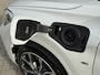 BMW X1 xDrive25e M-Sport Pano/Leder/Apple/Camera/Trekhaak