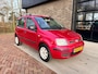 Fiat Panda 1.2 Edizione Cool | Airco | Nette auto | APK 2 - 2027! |
