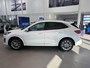 Ford Kuga 2.5 PHEV ST-Line X | VIGNALE | LEDERE STOELEN | ELEKTRISCHE STOELEN MET MEMORY | ADAPTIVE CRUISE CONTROL | NAVIGATIE | HEAD-UP DISPLAY | PANORAMA DAK | ACHTERRUITRIJCAMERA