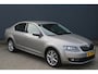 Skoda Octavia 1.4 TSI Greentech Style Business Trekhaak Xenon CarPlay Canton