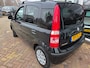 Fiat Panda 1.2 Edizione Cool