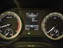 Skoda Kodiaq 1.5 TSI Business Edition 150pk DSG/AUTO | Achteruitrijcamera | Trekhaak | Cruise control | Navigatie | Getint glas achter | 18" LMV