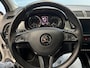 Skoda Fabia Combi 1.0 Business Edition Pano dak | Cruise | PDC