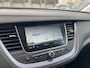 Opel Grandland X 1.2 Turbo Business Executive | Achteruitrijcamera | Apple Carplay/Android Auto|telefoonintegratie premium | Cruise control