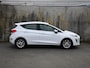 Ford Fiesta Titanium 1.0 EcoBoost 95pk CRUISE.C | 15''LM | CLIMA | PDC ACHTER | DAB | 12 MND GARANTIE