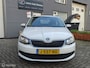 Skoda Fabia Combi 1.0TSi 95pk Ambition MFstuur LM15 CruiseC.