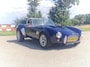 AC Cobra Pilgrim replica 2.9 v6