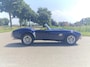AC Cobra Pilgrim replica 2.9 v6