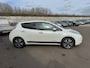 Nissan Leaf Business Edition 30 KWh / LEDER /