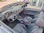 Audi TT 1.8 TFSI CABRIO PRO LINE AIRCO LMV LEDER PDC STOELVW