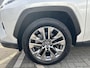 Toyota RAV4 2.5 Hybrid AWD Executive PANO (Premium Pack - Elektrisch Schuifdak)