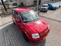 Fiat Panda 1.2 Exclusive Automaat NL-AUTO-NAP