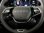 Skoda Kodiaq Business Edition Plus PHEV 1.5 TSI 204 pk 6 versn. DSG | Light & view | Getint glas | Trekhaak wegklapbaar