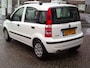 Fiat Panda 1.2 Active Staat in De Krim