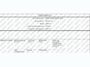 Volkswagen Polo 1.0 TSI Comfortline Business | Lichtmetaal | Sensoren |