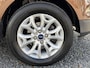Ford EcoSport 1.0 EcoBoost Stoelverw. 1e Eig. Nieuwe Distributie. Garantie
