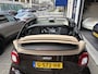 smart EQ Fortwo cabrio Business Solution 18 kWh 1 EIGENAAR/NL AUTO