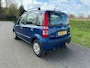 Fiat Panda 1.2 Dynamic incl nw apk ,distrubutie reeds vervangen!