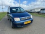 Fiat Panda 1.2 Dynamic incl nw apk ,distrubutie reeds vervangen!