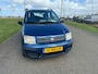 Fiat Panda 1.2 Dynamic incl nw apk ,distrubutie reeds vervangen!