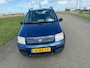Fiat Panda 1.2 Dynamic incl nw apk ,distrubutie reeds vervangen!