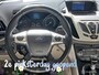 Ford Grand C-Max 1.0 Ecoboost Panorama Dak