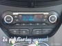 Ford Grand C-Max 1.0 Ecoboost Panorama Dak