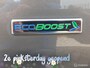 Ford Grand C-Max 1.0 Ecoboost Panorama Dak