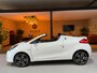 Renault Wind 1.2 TCE Dynamique Cruise Elek Ramen Rijklaar