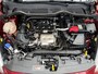 Ford Fiesta 1.0 EcoBoost Vignale | PANORAMADAK | AUTOMAAT | TREKHAAK | CAMERA | PDC | LMV |