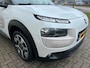 Citroën C4 Cactus 1.2 PureTech Business Plus Pano Leder Achteruitrij Camera Stoelverwarming Trekhaak