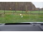 Nissan Qashqai 1.3 MHEV Xtronic Tekna Plus Propilot , Panoramadak, Adap. cruise, 360°camera,