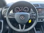 Skoda Fabia Combi 1.0 75pk Business Edition met AppleCarplay, Stoelverwarming en Climatronic
